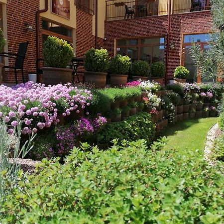 Jolan Pension & Restaurant Cicov Exterior photo