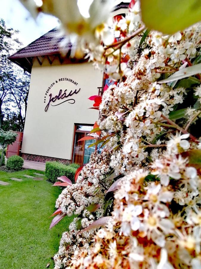 Jolan Pension & Restaurant Cicov Exterior photo