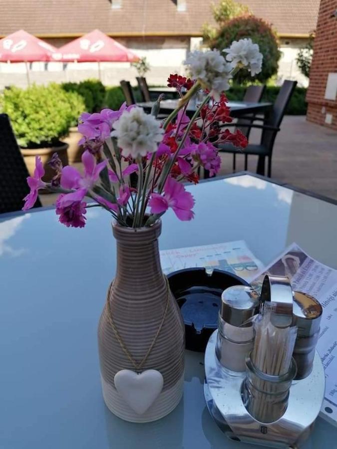 Jolan Pension & Restaurant Cicov Exterior photo