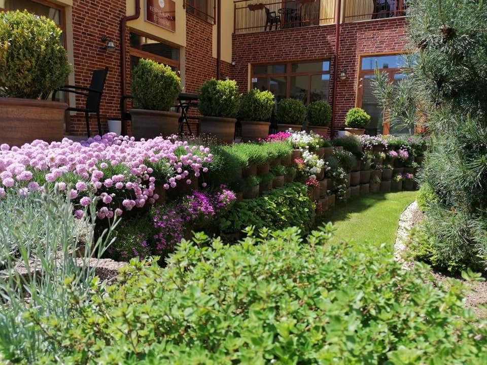 Jolan Pension & Restaurant Cicov Exterior photo